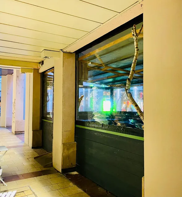 Pergola et stores zip pour un restaurant, Lyon, photo 4