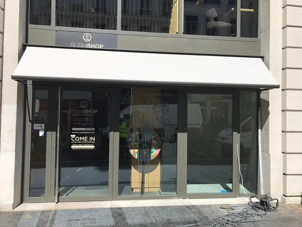 Environ 70 stores-bannettes pour le Grand Hôtel-Dieu, Lyon, photo 5